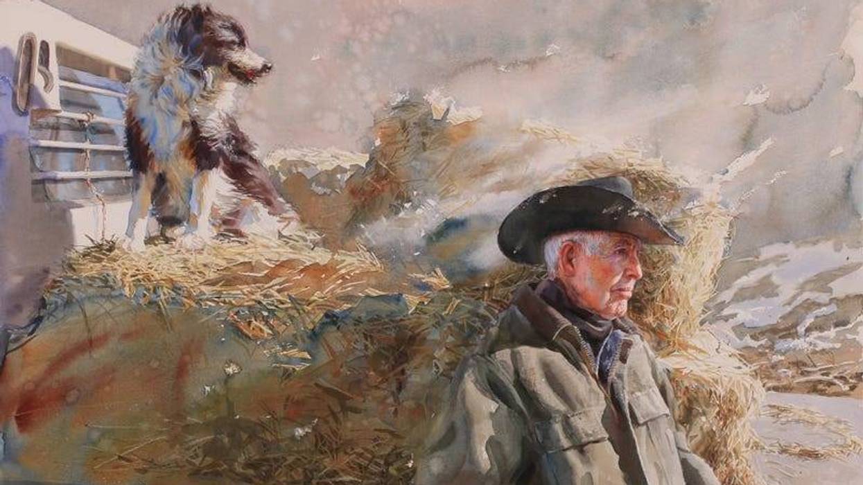 Veteran portraits