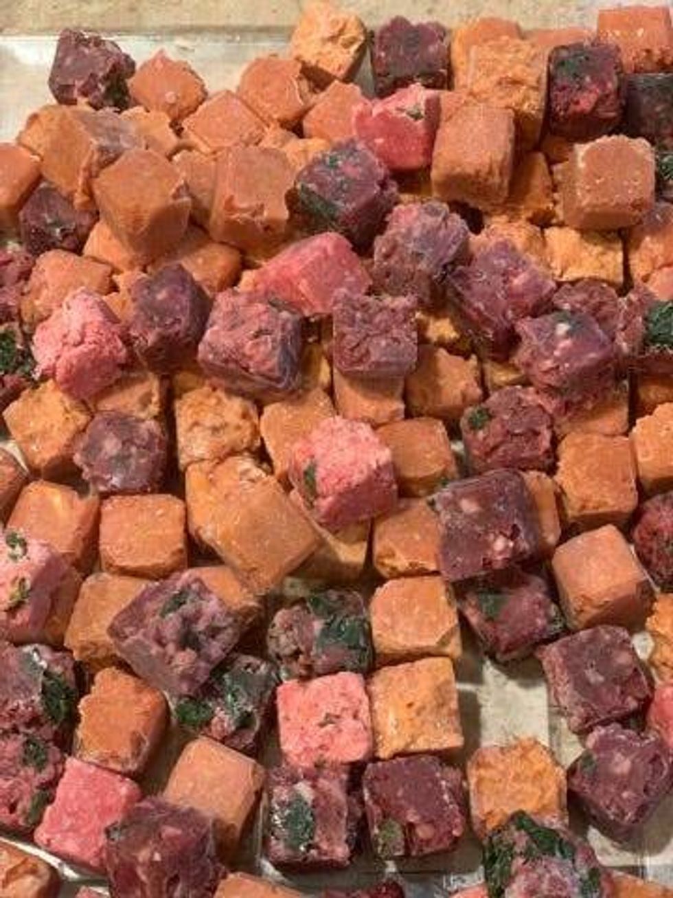 Veterinarians and pet parents can agree: feeding our cats and dogs a nutritious diet is essential for a healthy, happy pet, but the popular raw food diet reamins controversial