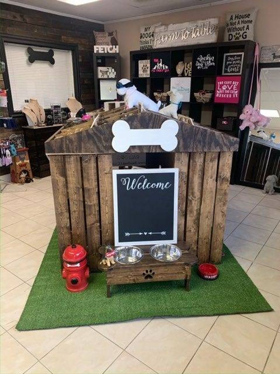 Veterinarians and pet parents can agree: feeding our cats and dogs a nutritious diet is essential for a healthy, happy pet, but the popular raw food diet remains more controversial