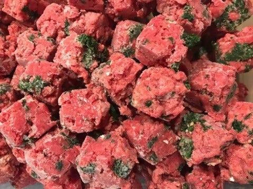 Veterinarians and pet parents can agree: feeding our cats and dogs a nutritious diet is essential for a healthy, happy pet, but the popular raw food diet remains more controversial