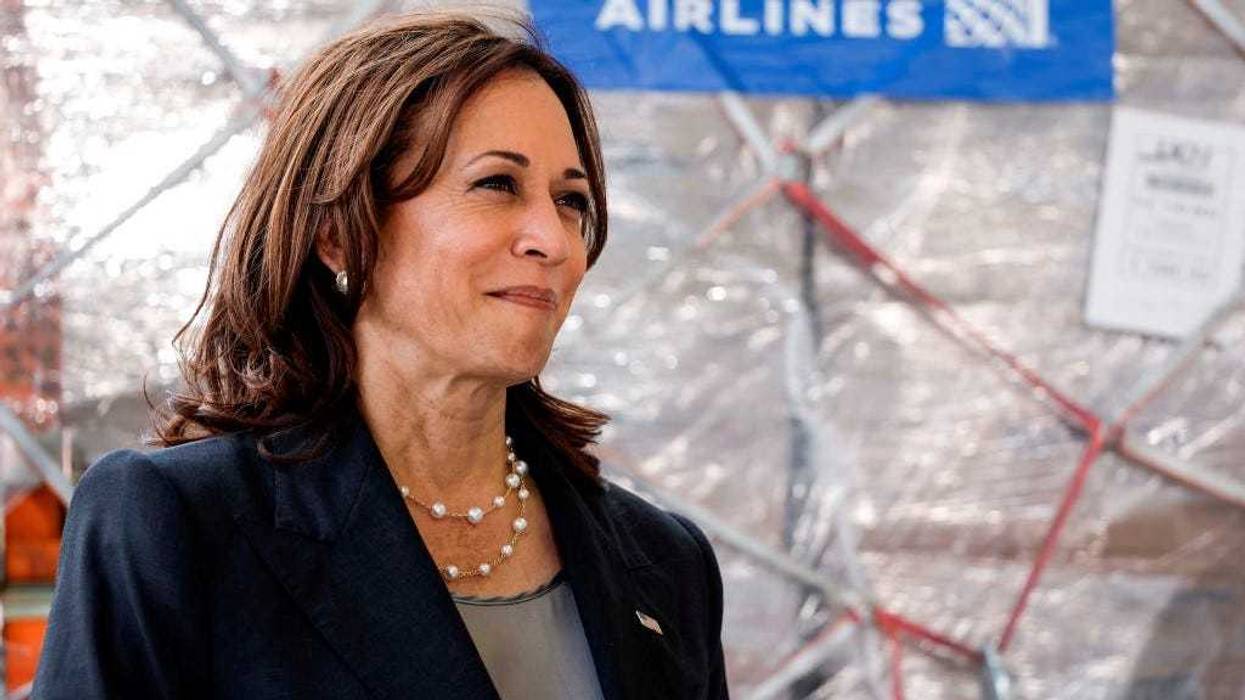 Vice President Kamala Harris stands by pallets of Kendamil baby formula after its arrival on a United Airlines passenger plane from London Heathrow Airport at the Dulles International Airport June 17, 2022 in Dulles, Virginia.