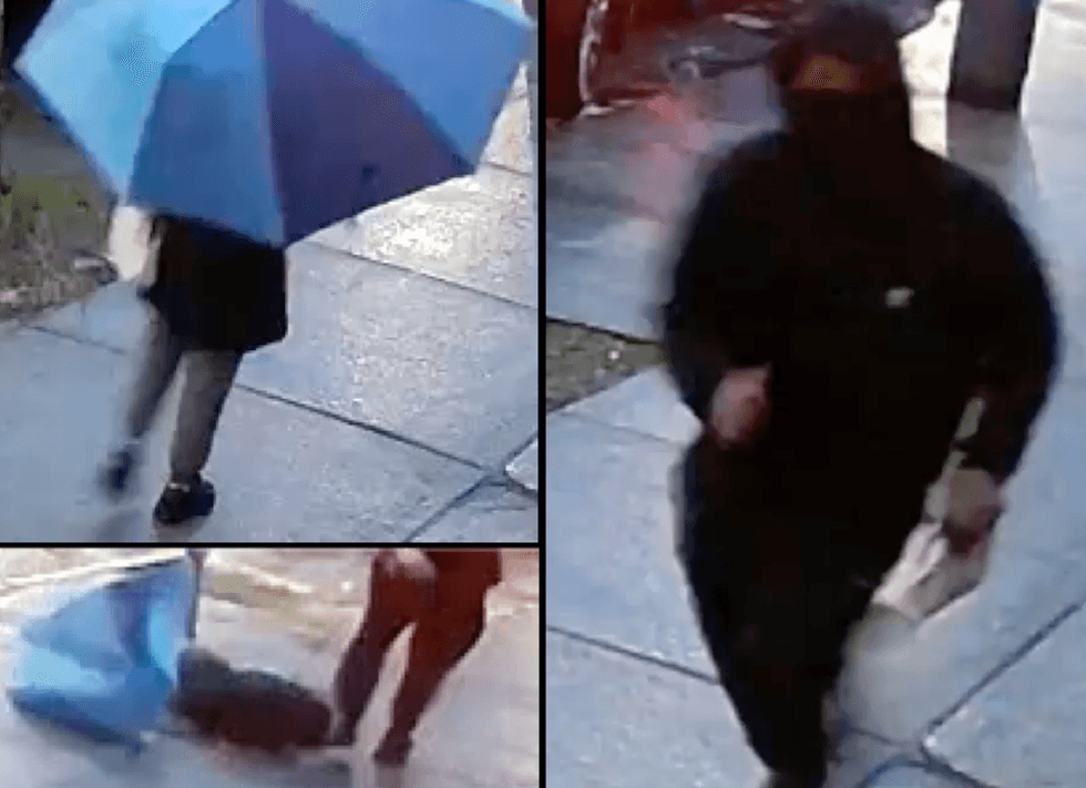 Video shows a thief knocking a pregnant woman to the ground in South Ozone Park