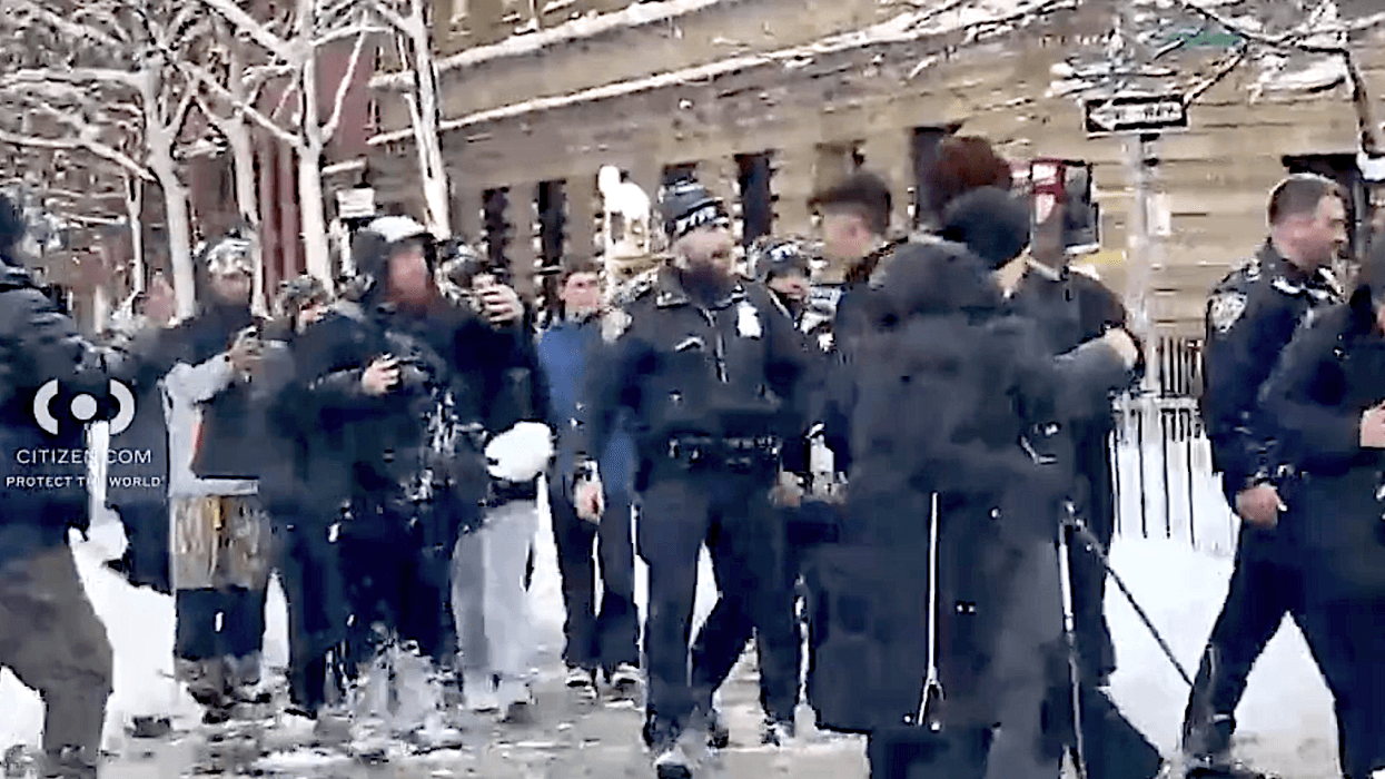 Videos show a large crowd throwing snowballs at multiple NYPD officers during the snowball fight at Washington Square Park