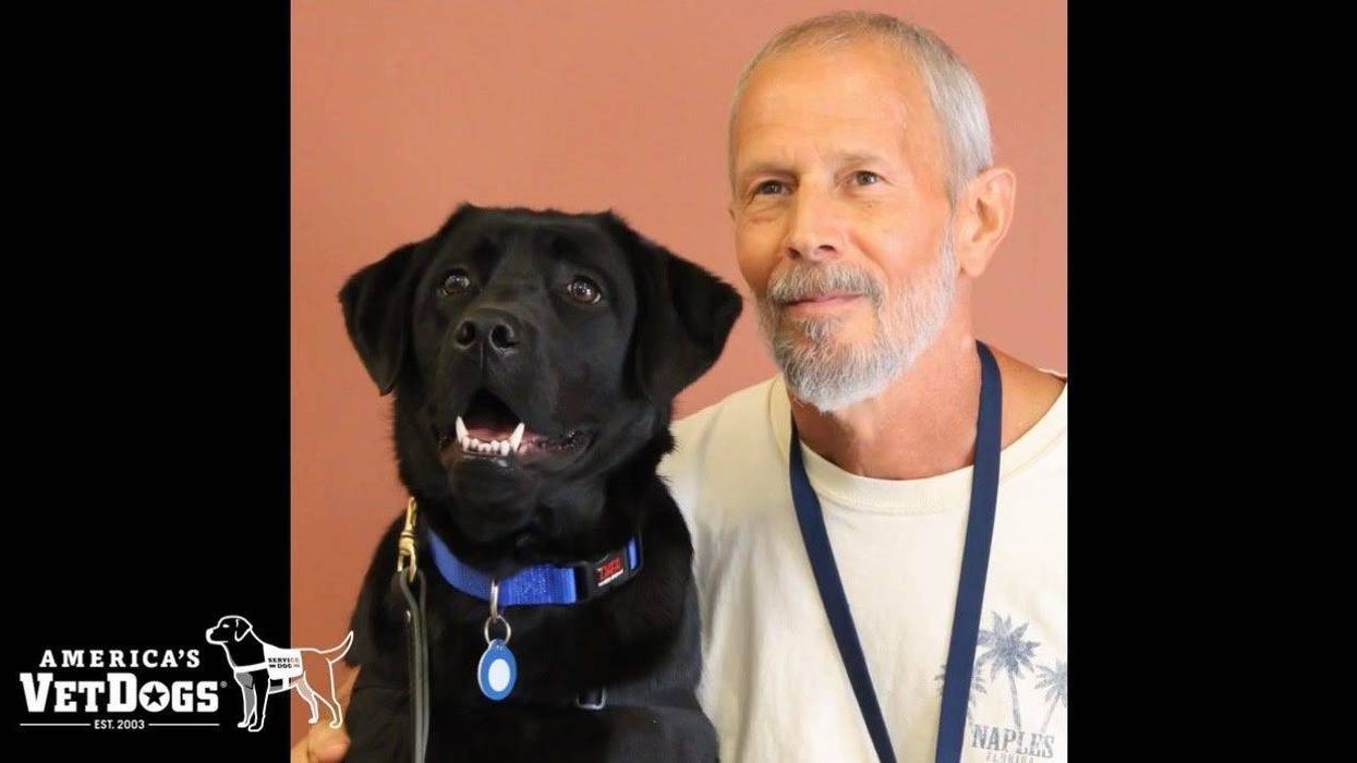 Vietnam Veteran Stephen Nelson receives service dog from America's VetDogs to help cope with PTSD.