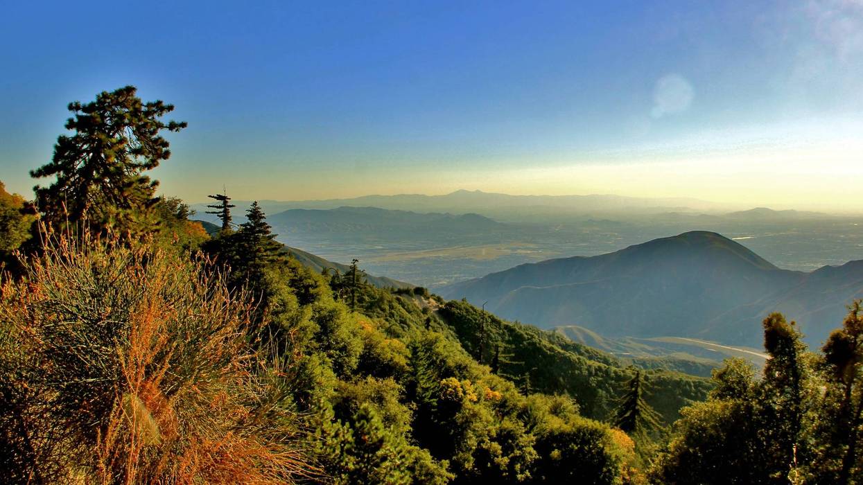 View of the valley of the San Bernardino National Forest.