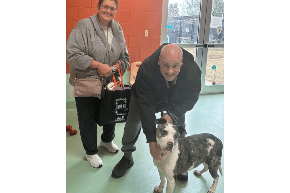 Violet was adopted by the Rutherford family on Long Island.
