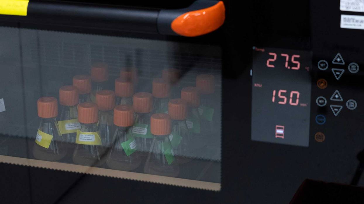 Virus Outbreak-Novavax