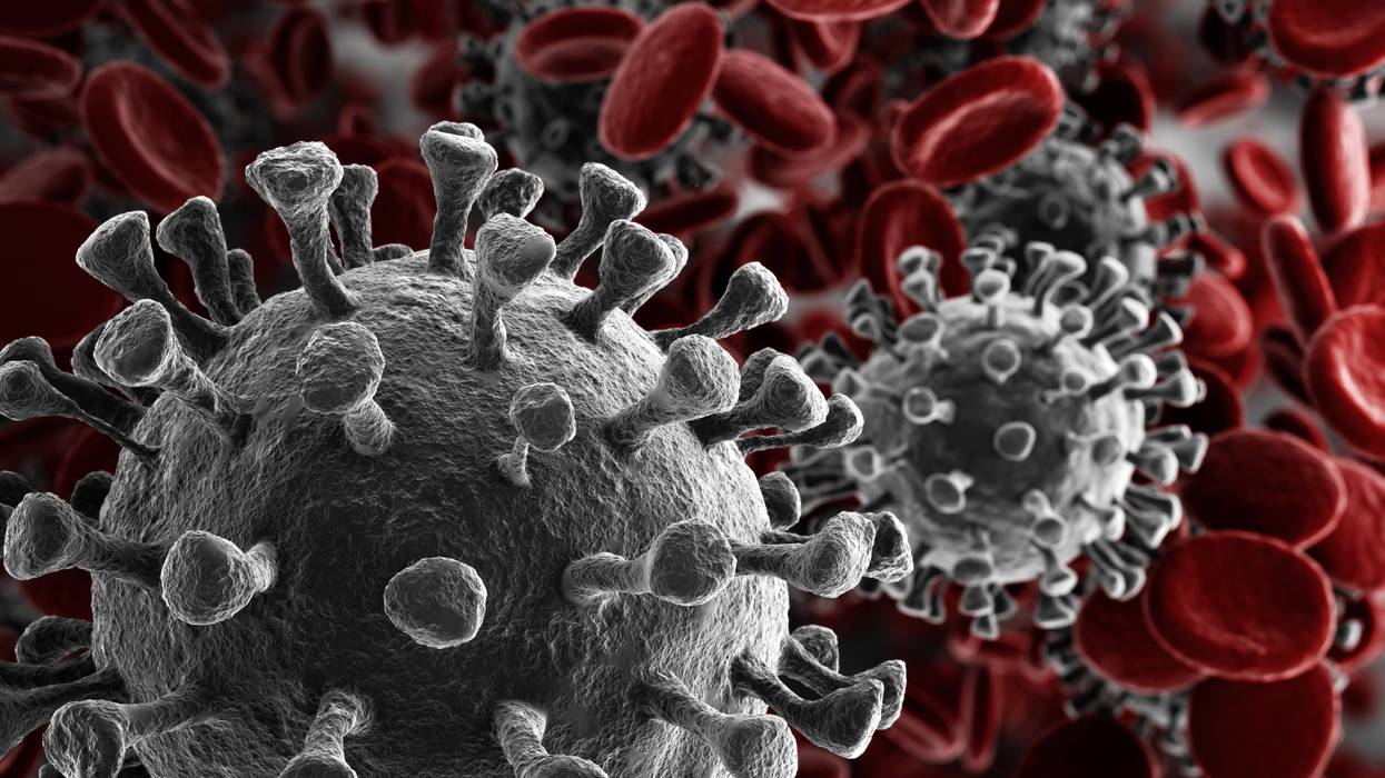 virus