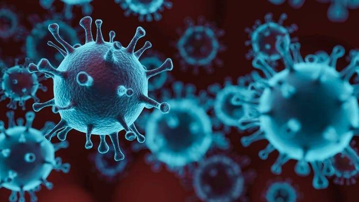virus