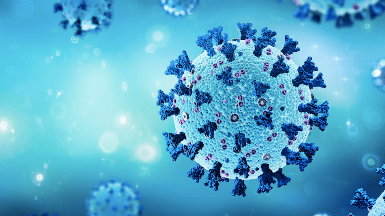 virus