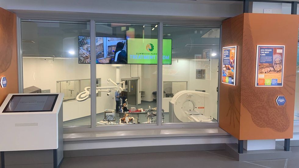 Visitors can watch veterinary staff care for the animals through large windows.