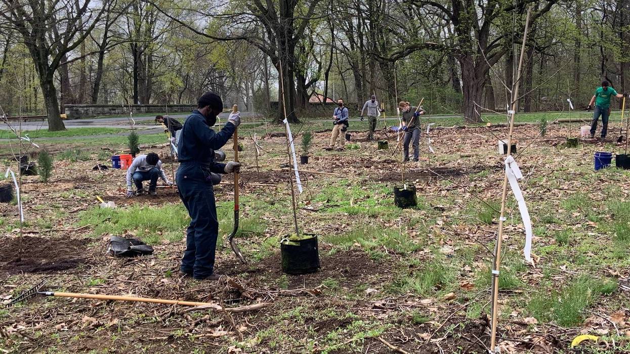 Volunteers take part in the Fairmount Park Conservancy's Natural Lands Volunteer Leadership program.
