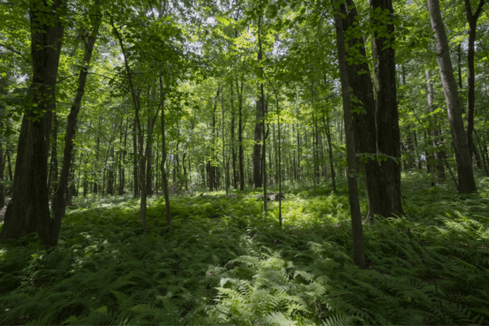 Volz Neighborhood Park