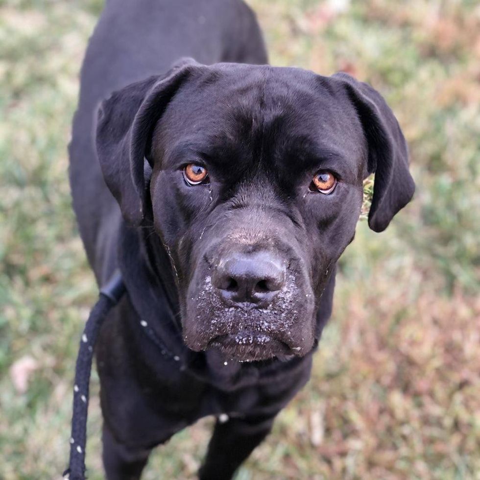 Voodoo from CARE STL