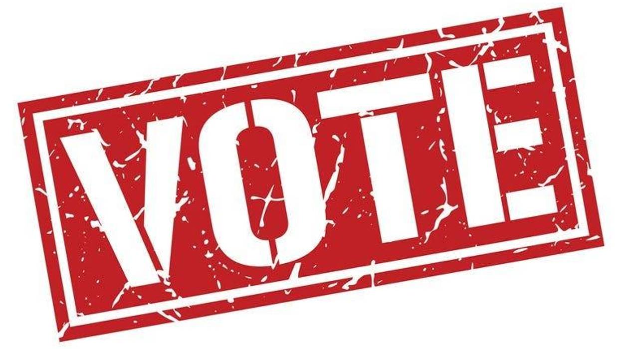 vote