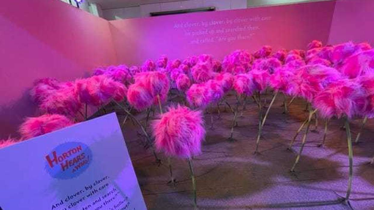 Walk through the 25,000 square foot space off Michigan Avenue, and you might run into the Lorax, frolic through the Truffula trees, explore a field of pink clover, ride a carousel, or even meet the Cat in the Hat himself!