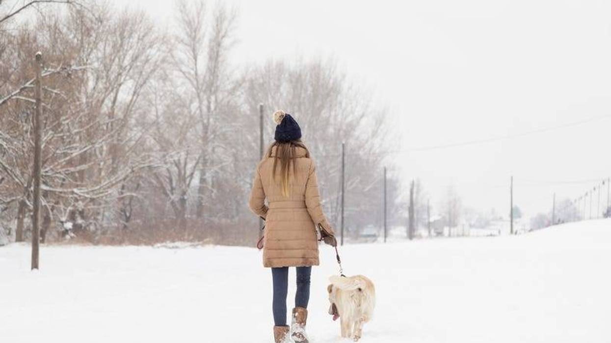 Walking in the snow