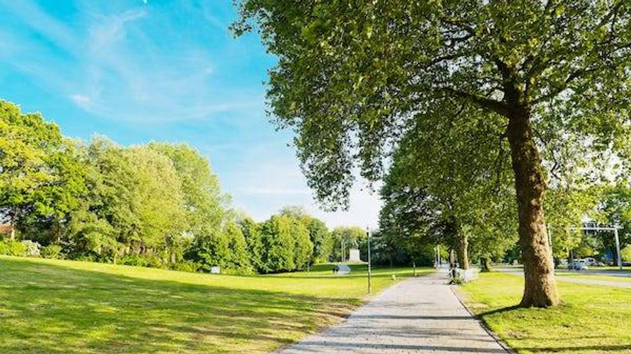 Walking trail in an empty park