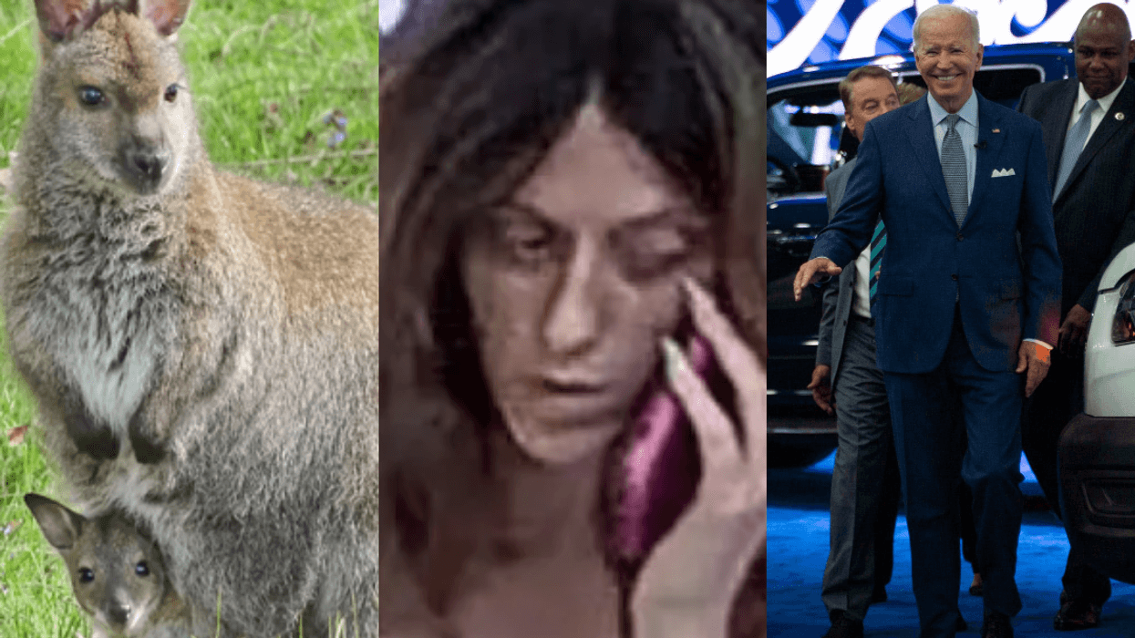 Wallaby and joey, woman wanted in Metro Detroit for theft, President Biden at Detroit Auto Show
