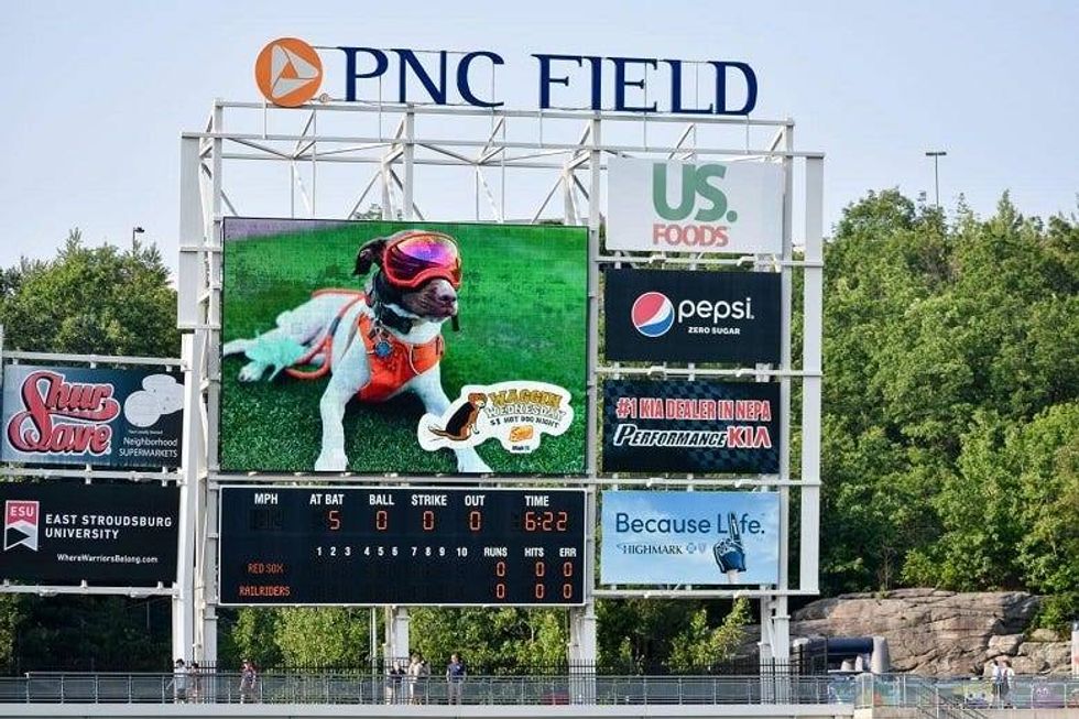 Wally on the scoreboard at PNC Field
