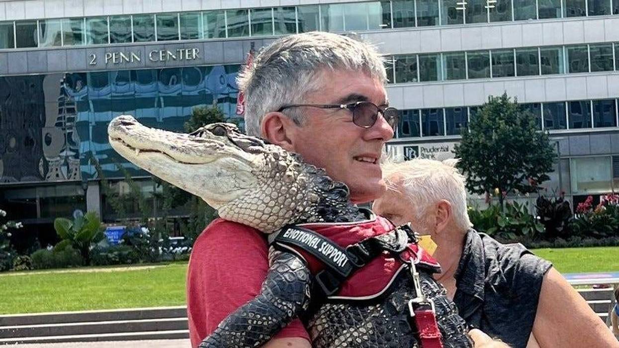 Wally the emotional support alligator at Philadelphia's LOVE Park.