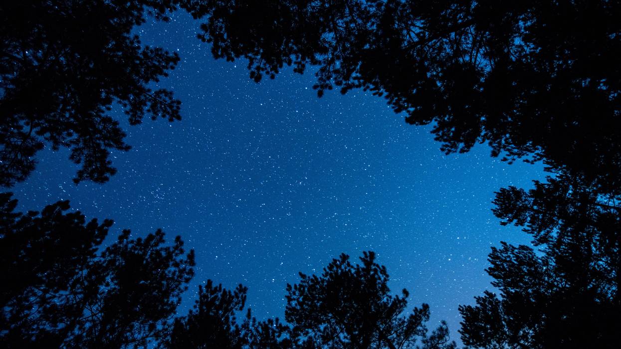 Want to enjoy a starry night in Chicagoland? Palos Preserves named best spot.