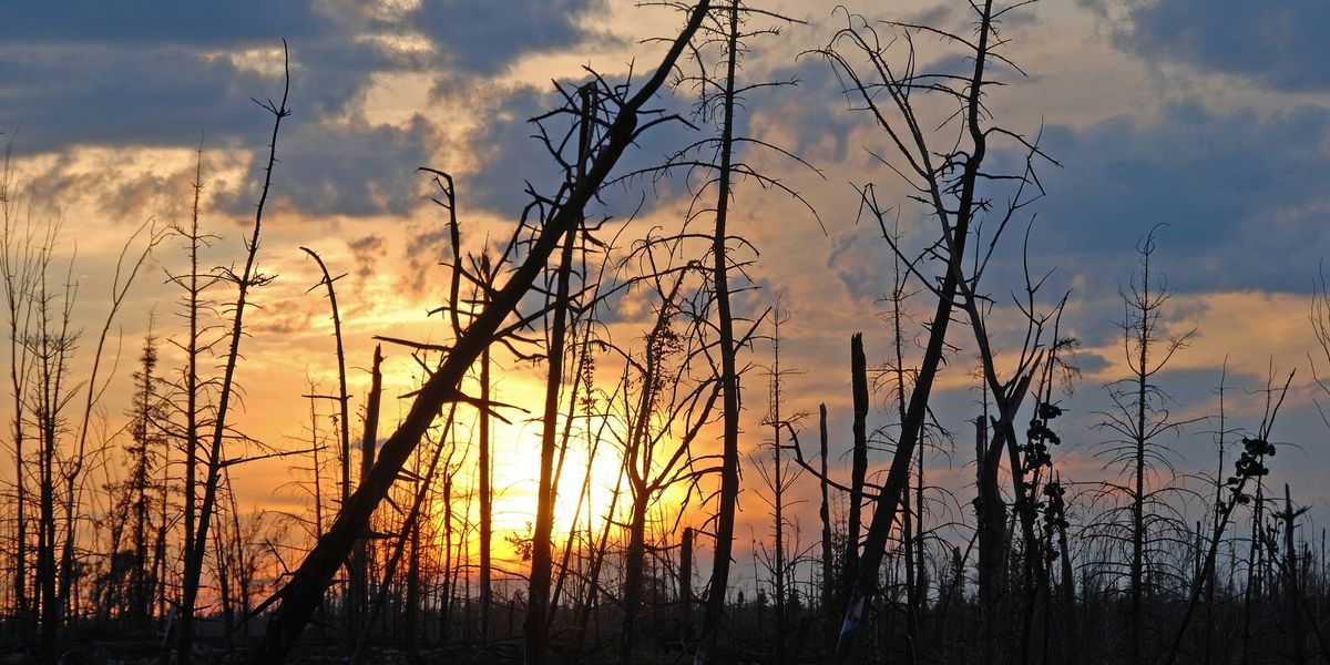 Wildfires continue to burn up north