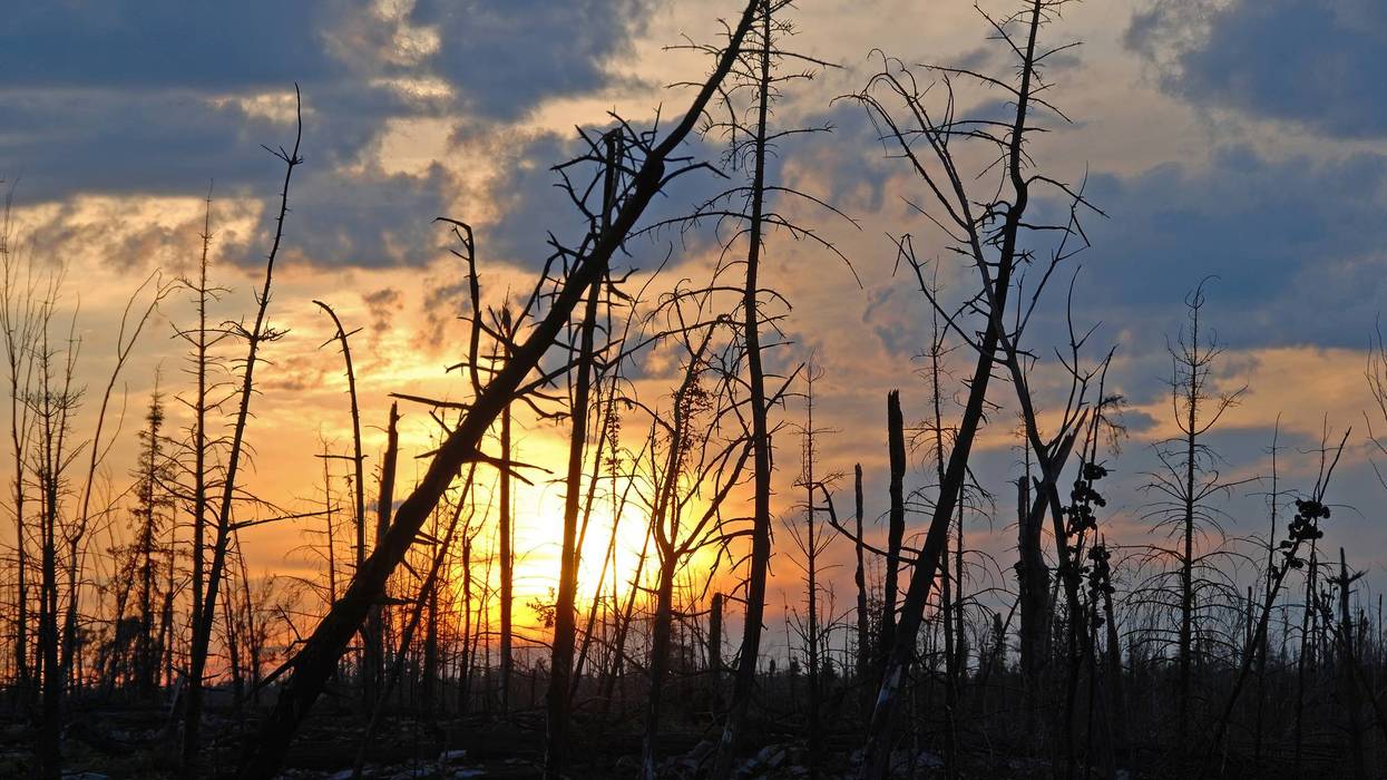 Wildfires continue to burn up north