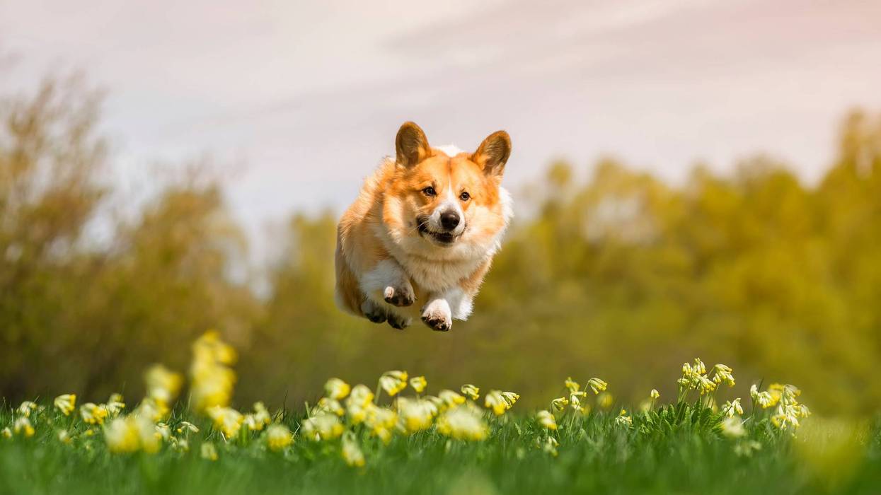 Warm and muggy before storms roll in Sunday