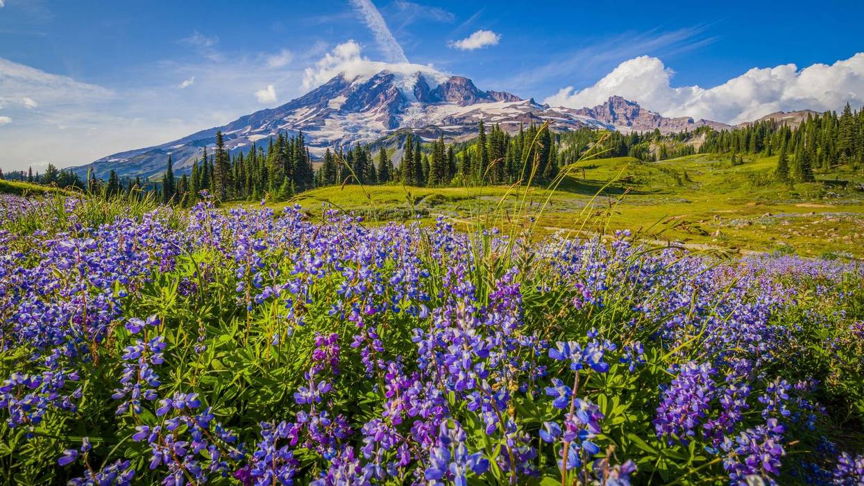 Washington State