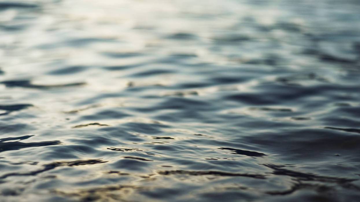 Water, ripple and nature with environment and lake, river or ocean with waves, calm and closeup. Earth, sea and natural background, moving liquid is tranquil and abstract with texture and light