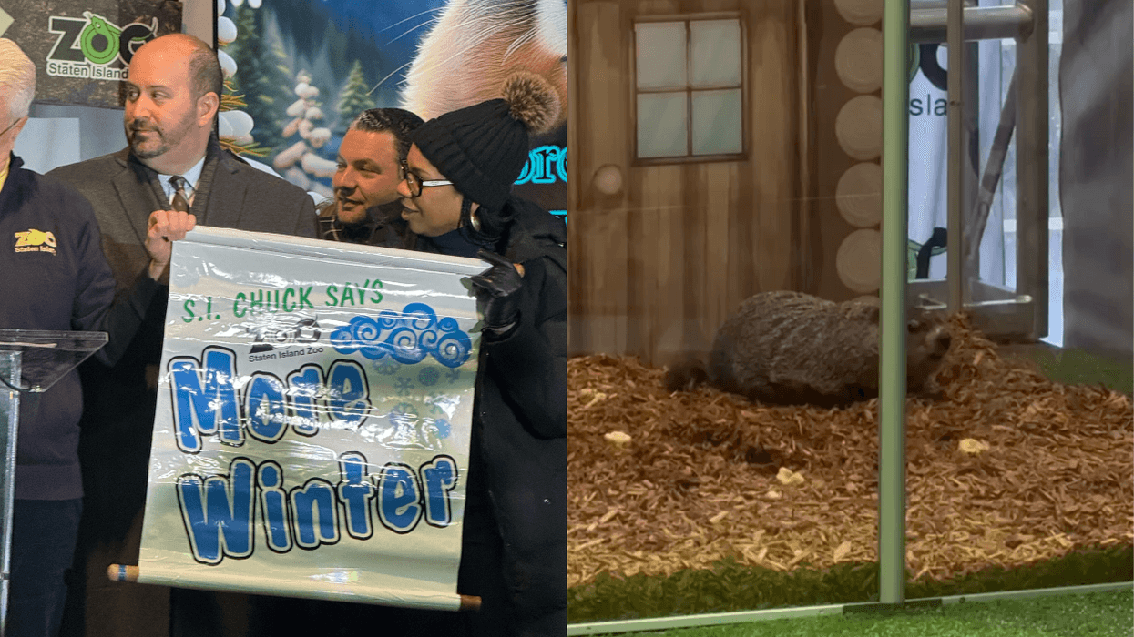 Weather forecasting groundhog Staten Island Chuck saw his shadow at the Staten Island Zoo on Monday, predicting six more weeks of winter.