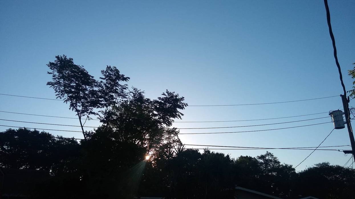weather