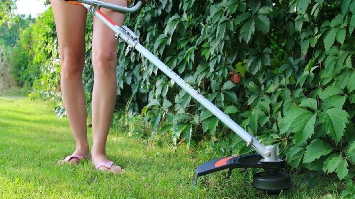 Weed whacker