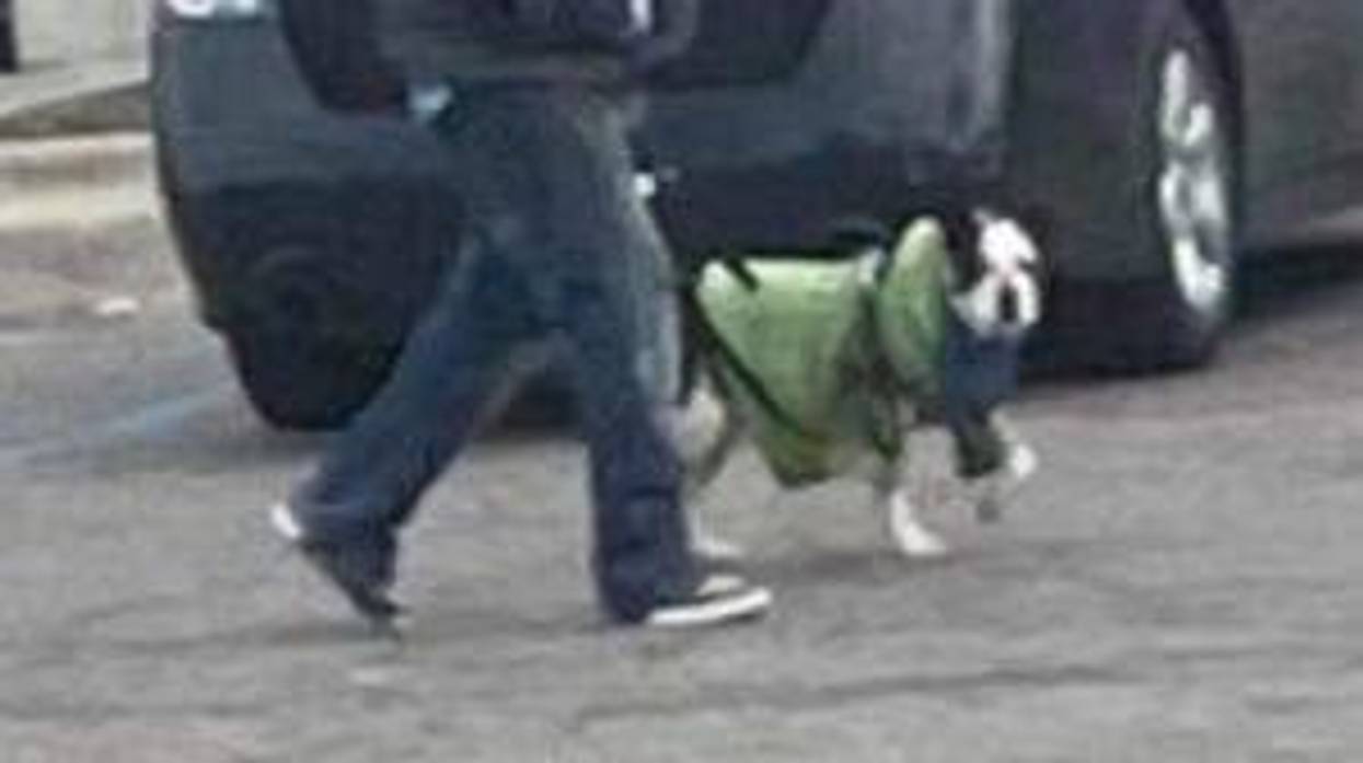 Well-known homeless Detroiter Jesse and his dog killed