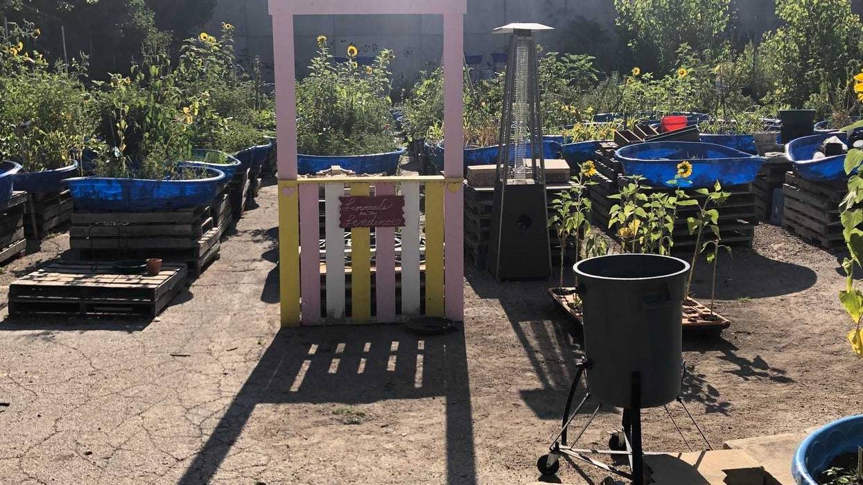 West Loop Community Garden