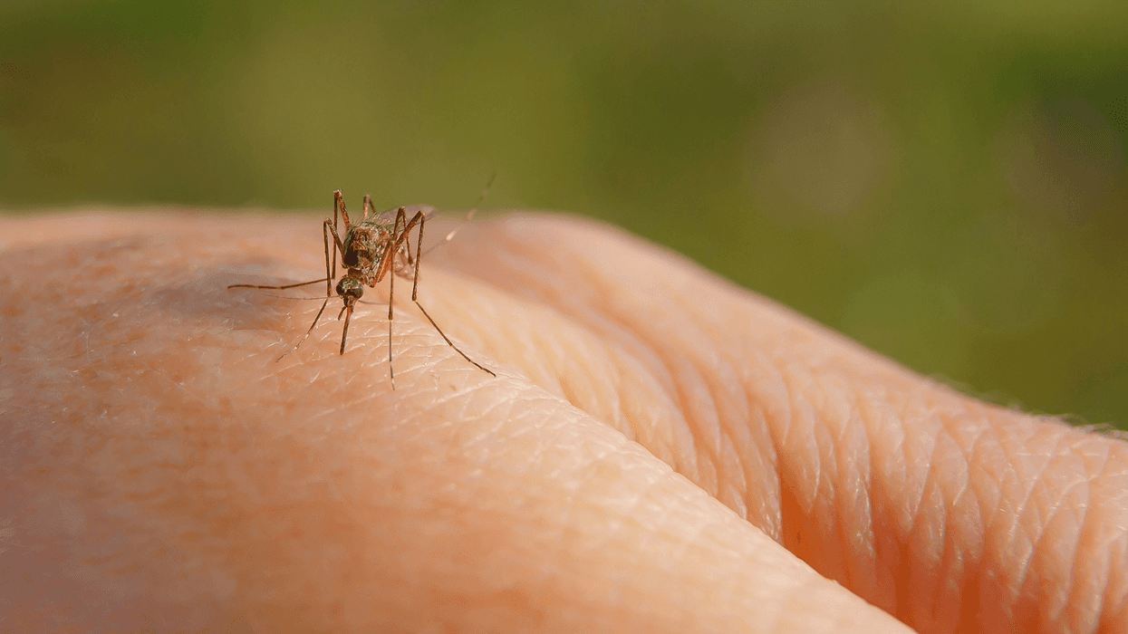 West Nile virus found in mosquito trapped in Coachella