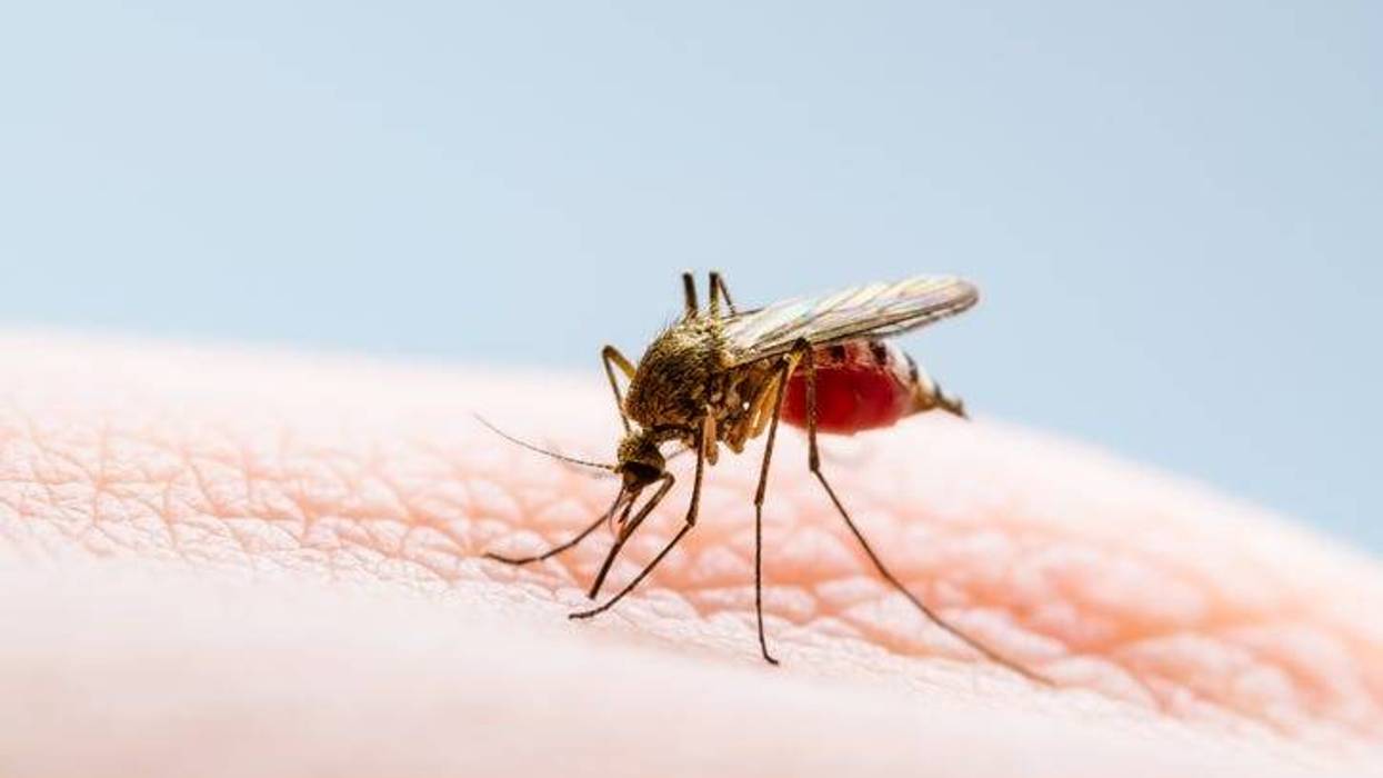 West Nile virus in Macomb and Oakland counties
