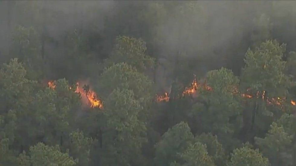 Wharton State Forest fire