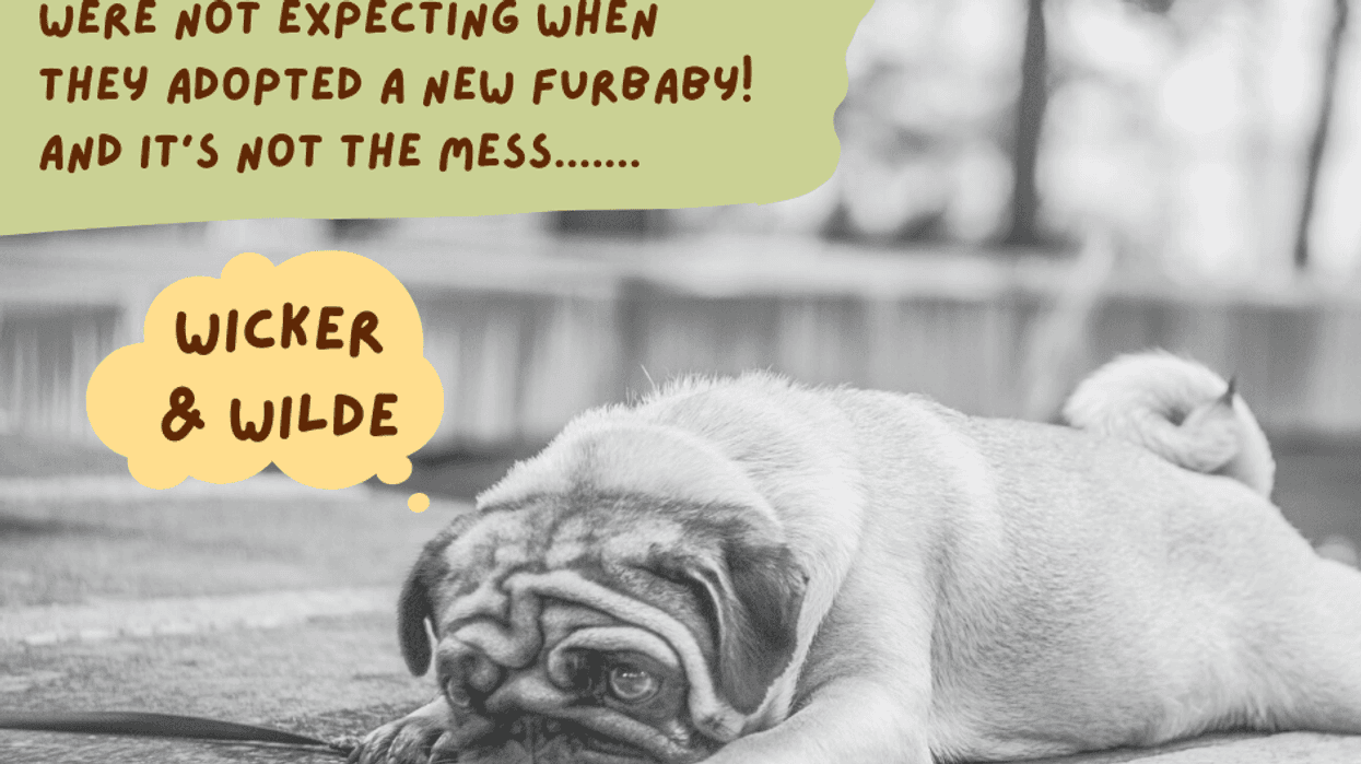 What makes pet parents crazy!
