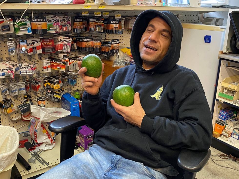 What may be the biggest avocado tree in the country is bearing fruit in San Francisco’s Pacific Heights neighborhood.