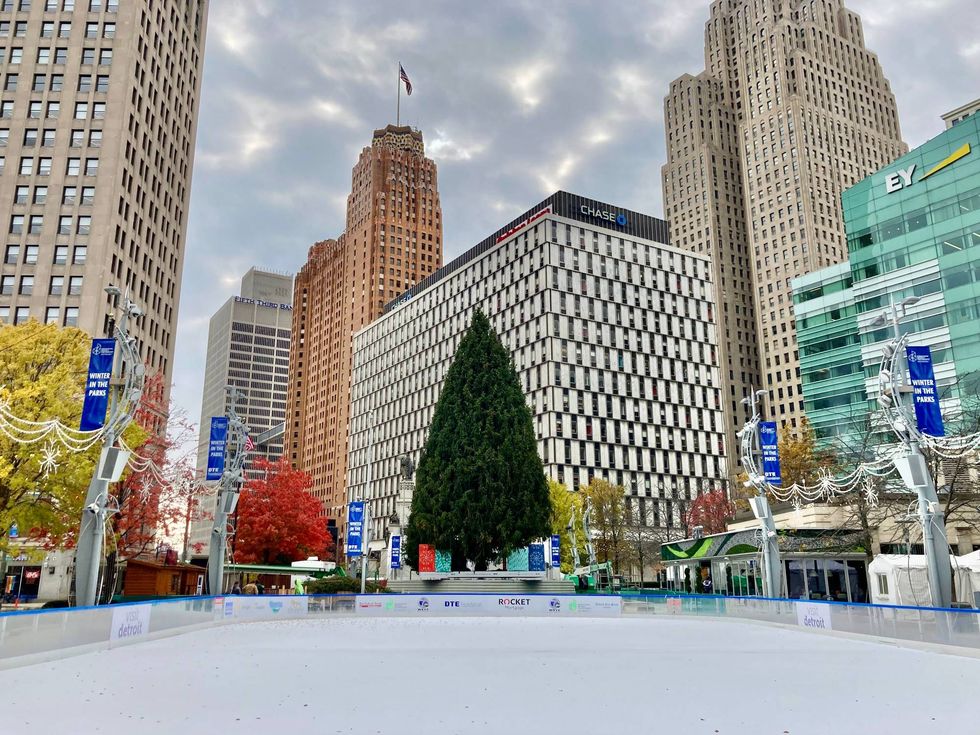what the Norway spruce looks like now
