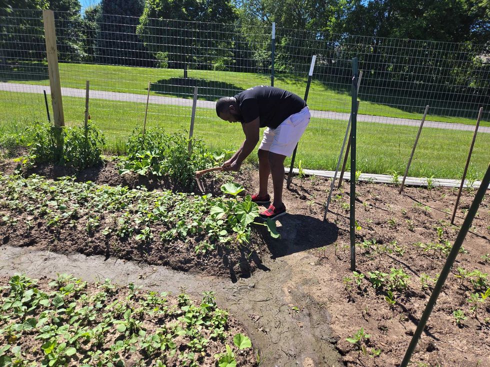 Whatever foods you have leftover or you bought too much of or forgot was in the fridge, you put them in the special compost bag the city sends you, tie a little knot in it, and throw it in your regular garbage container with the rest of your garbage.