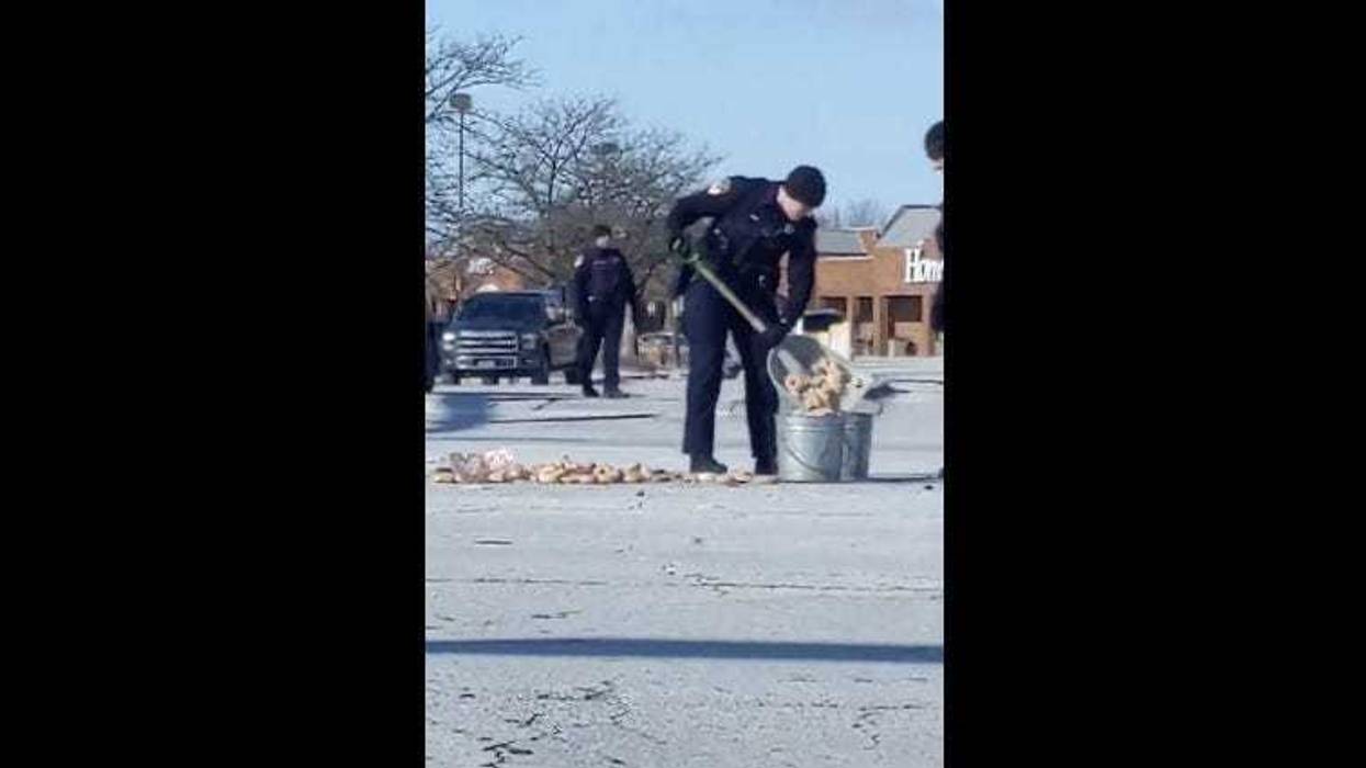 Wheaton Police clean up dozens of spilled donuts in the road