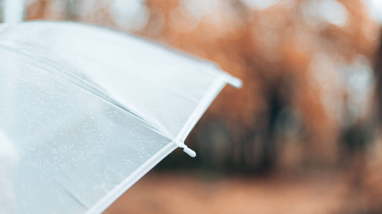While a sprinkle of rain will damp areas in Southeast Michigan Thursday night, weather experts said it won't be enough to help as 2022 goes down as the one of Michigan's driest years on record.