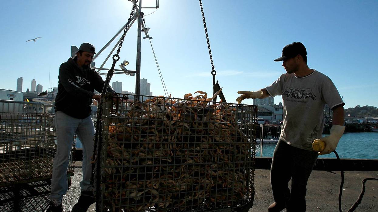 While California’s commercial crab season will open in the northern part of the state on Dec. 1, Bay Area fishermen will have to wait until at least Dec. 15 to catch crab.