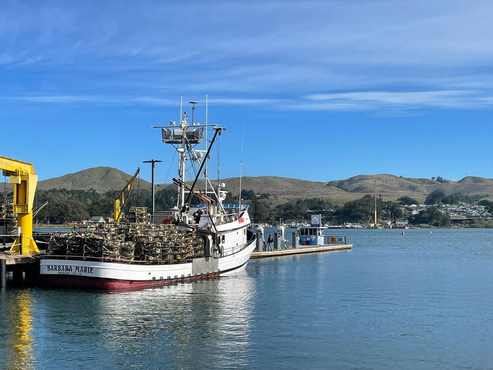 While California’s commercial crab season will open in the northern part of the state on Dec. 1, Bay Area fishermen will have to wait until at least Dec. 15 to catch crab.