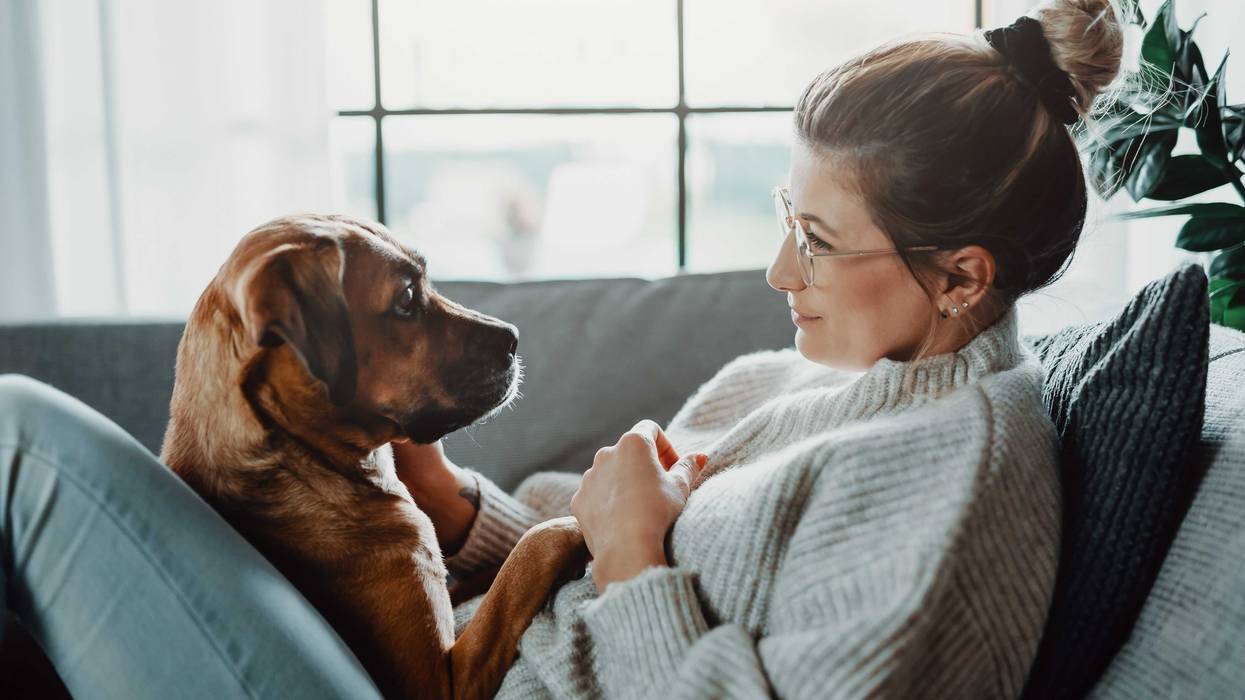 While it's commonly thought that close companionship with a pet positively influences our well-being, a new study by Michigan State University said that during the COVID-19 pandemic, that wasn't the case.