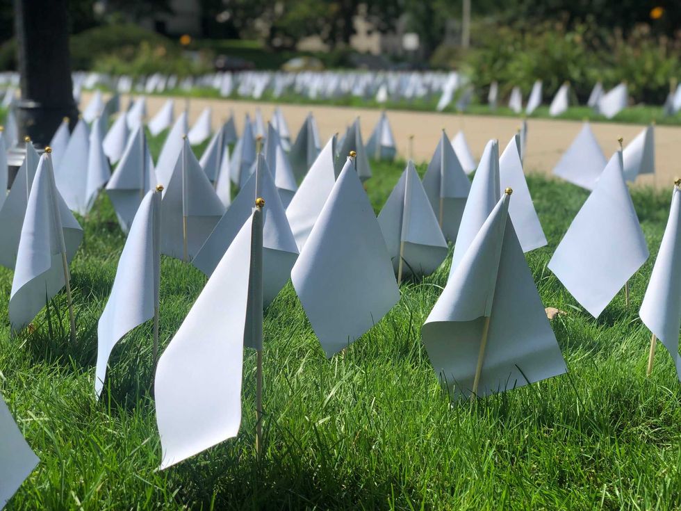 White Flags Representing Overdoses on Capitol lawn