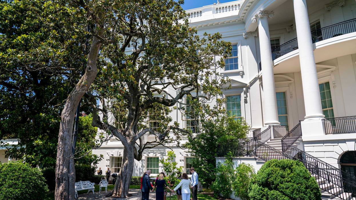 White House Tree